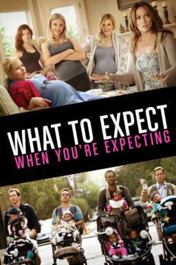 What to Expect When Youre Expecting - 2012