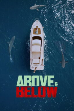 Above & Below - 2026
